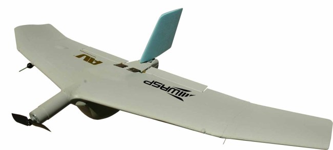 wasp-3.jpg